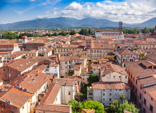 Lucca old town rooftop cityscape Tuscany Italy