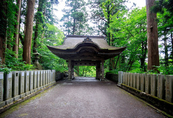 Obraz premium Stone pillars line walkway to Japanese wooden gate in forest