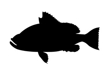 Silueta de peces.