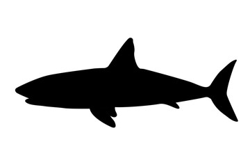 Silueta de tiburones.