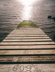 Obraz premium Wood plank jetty walkway leading down to water with moss and text