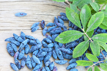 Juicy sweet and sour berries of garden honeysuckle on a wooden background