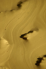 Gelber Sand, glatt und schlammig nach Regen, Makro