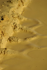 Reifenspur eines Baufahrzeugs im gelben Sand nach einem Regenguss, industrieller Sandabbau
