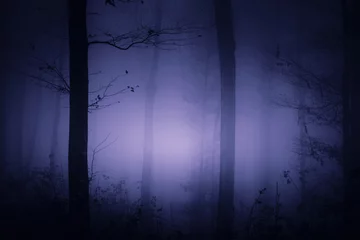 Zelfklevend Fotobehang dark fantasy forest background, magical purple light © andreiuc88