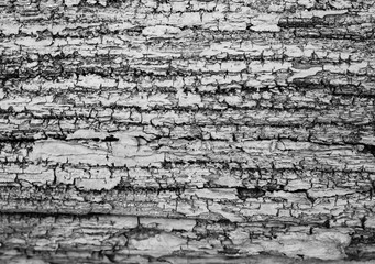 Old abstract vintage brown peeling paint texture. Wooden background.