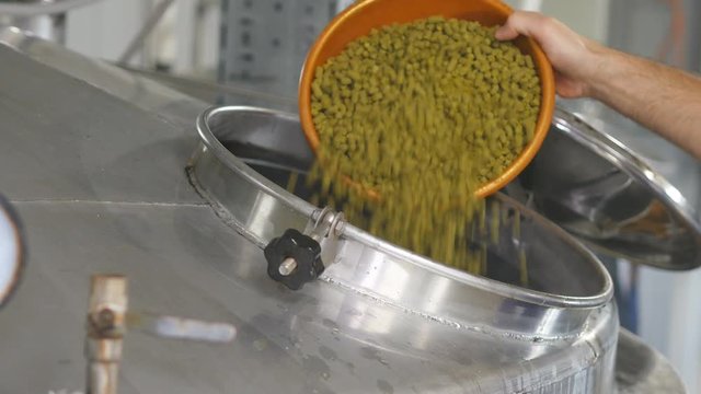 Closeup of adding hops in the brewing unit on a beer production