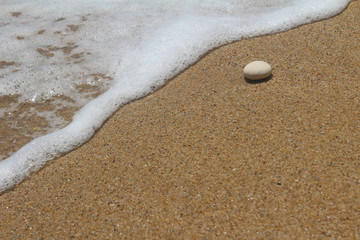 The wind rolls small waves on a sandy beach. 