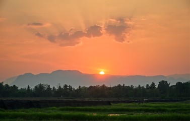 Sunset in mountain and rice field