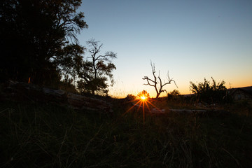 Sonnenuntergang auf grüner Wiese. Ein zerbrochener Baumstamm ist in der Mitte zu sehen. Im HIntergrund strahlt die SOnne in die Linse.