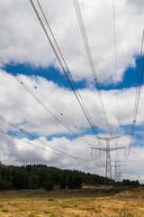 Powerlines in the field vertical