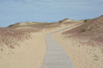 Dead dunes, Nida, Lithuania