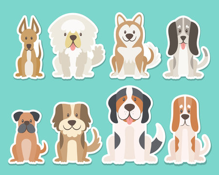 Sticker collection of different kinds of dogs. Sat dogs in front view position. Saint Bernard, boxer, sheepdog, husky. Vector illustration.