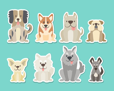 Sticker collection of different kinds of dogs. Sat dogs in front view position. Bulldog, schnauzer, chihuahua, terrier, sheepdog, corgi. Vector illustration.