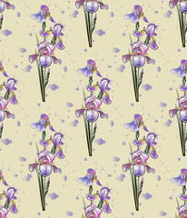 A seamless pattern with delicate contour irises in watercolors