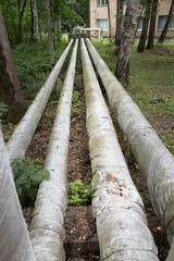 Laying of heat-insulated large diameter pipes for hot water supply during the construction of a residential area. Pipes are insulated with special materials. Are above the ground.