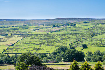 View of low hills across Yorkshire Dales from Lofthouse
