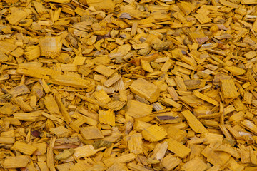 Decorative wood chips. Natural bright yellow colored wooden shavings for protecting plants on flower beds and lawns. Alternative to agrofibers.