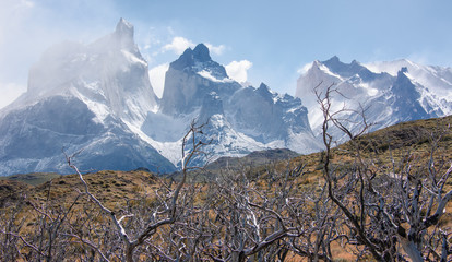 Las fabulosas Torres de Paine