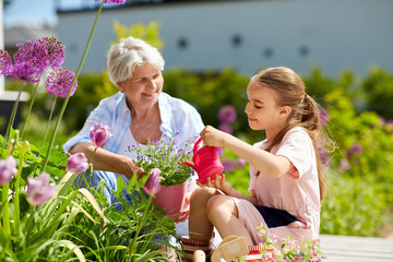 gardening, family and people concept - happy grandmother and granddaughter planting flowers at...