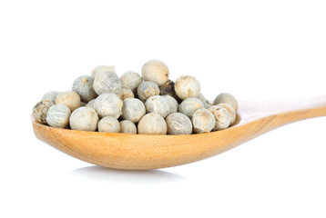 Pepper seed in wood spoon  on white background