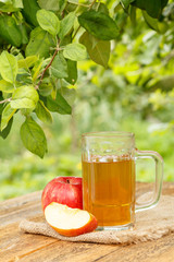 Apple cider in glass goblet and fresh red apples on wooden boards with green natural background