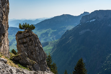 Swiss, Alps panorama view