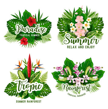 Tropical paradise card for summer holiday design