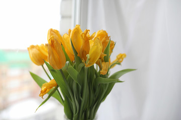 A bouquet of yellow tulips in a vase on the windowsill. A gift t