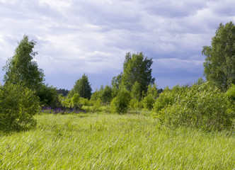 Obraz premium sky over the lawn and forest at summer. background, nature