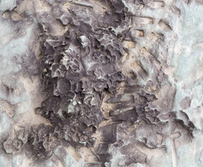 vintage bronze texture with prints. background.