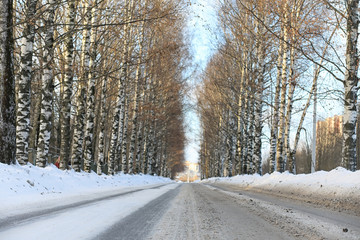 Obraz premium Winter landscape snow covered expanses. A park in the winter in