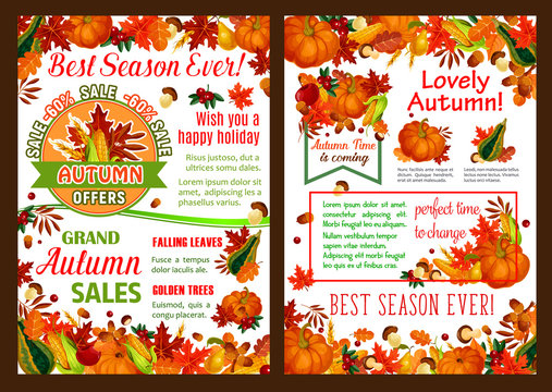Autumn pumpkin, fruit harvest sale vector poster