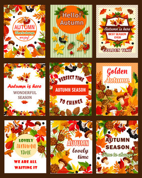 Autumn season nature retro poster and banner set