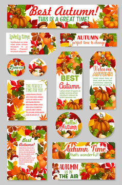 Autumn tags acorn leaf, pumpkin vector greeting