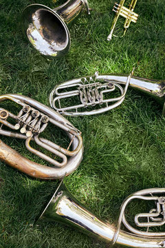 Several ancient musical wind instruments lie on the green grass in the park.
