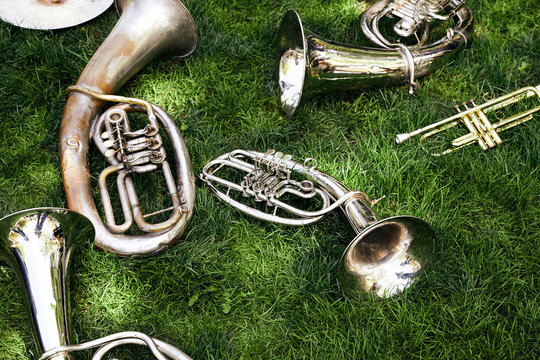 Several ancient musical wind instruments lie on the green grass in the park.