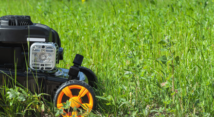 Lawn mower or grass cutter stands on grass