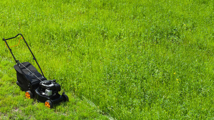 Grass cutter stands on fresh green lawn