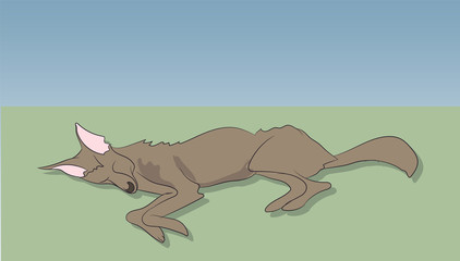 fox on nature background,