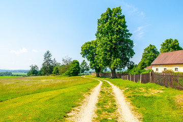 Czech rural landscape. Green leafy trees beside country road. Idyllic place to have a rest.