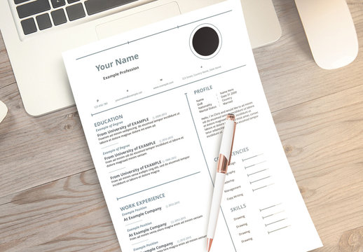 Resume Layout Set with Grayish-Blue Accents