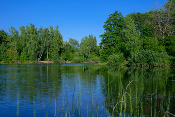 Beautiful view of the reservoir, river, with forest in the background, in summer, sunny.