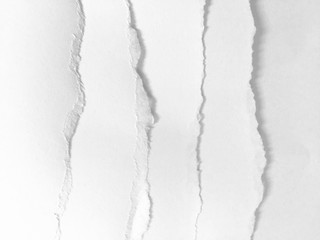 pieces of torn paper texture background, copy space.
