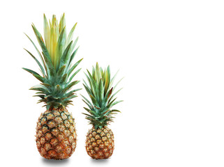pineapple on white background.