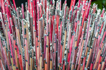 incense sticks