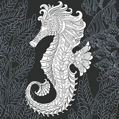 Sea horse in black and white line art style. Coloring page.