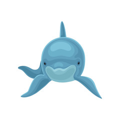 Blue dolphin swimming, front view vector Illustration on a white background