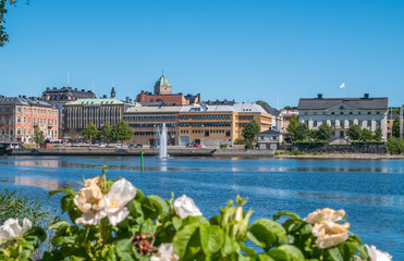 The city of Harnosand in north part of Sweden. Flowers and lake in foreground. Center in background. Summer daytime.