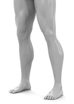 White Muscular Legs - 3D